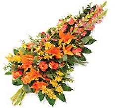 Envoi de fleurs à SAINTE FOY LES LYON et sa région  (69)
